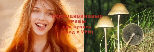 кокс Дмитровск