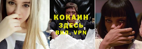 дживик Дмитров