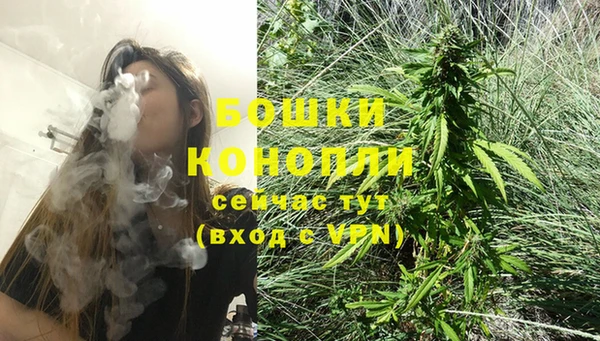 кокс Дмитровск
