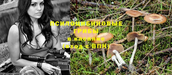 дживик Дмитров