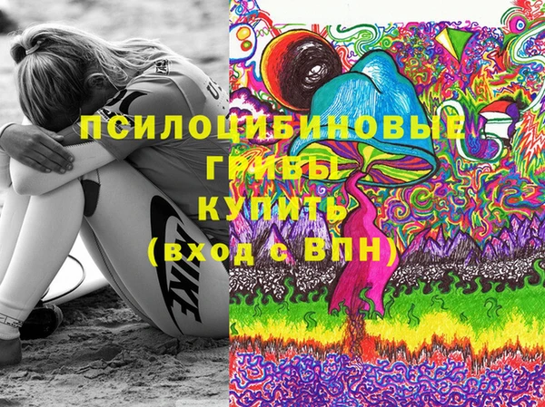 дживик Дмитров
