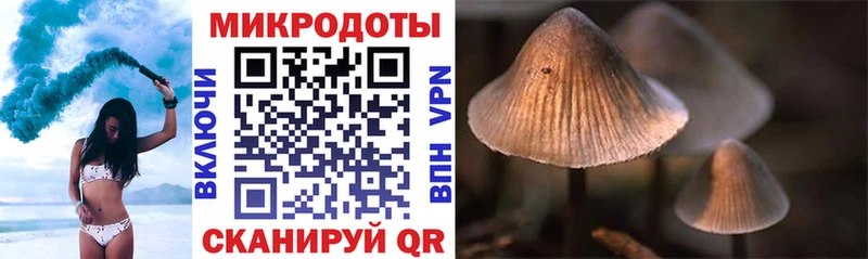 Галлюциногенные грибы ЛСД МЕГА ссылки Знаменск