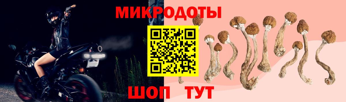 Галлюциногенные грибы MAGIC MUSHROOMS  Псилоцибиновые грибы мицелий  Вход с VPN  Знаменск 
